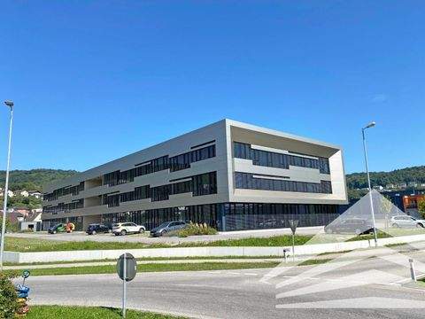 Steyregg Büros, Büroräume, Büroflächen 