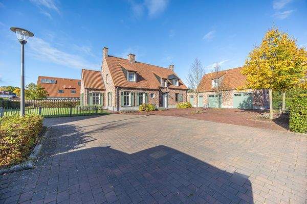 Wunderschönes Ensemble