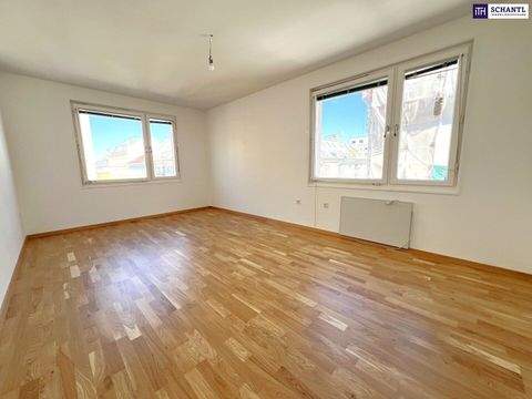 Wien Wohnungen, Wien Wohnung mieten