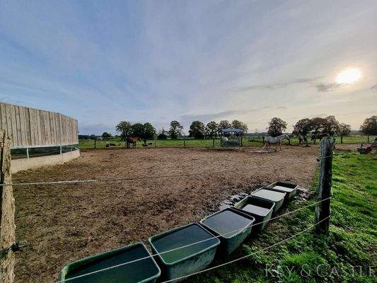 Paddocks seitlich des Roundpens