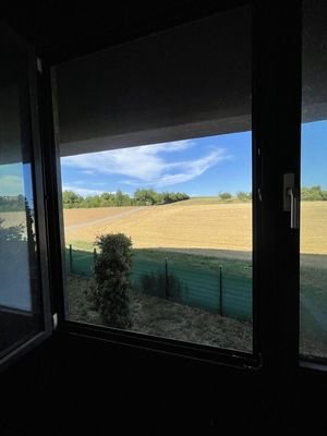 Ausblick
