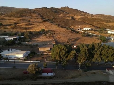 Drymonas, Leros Bauernhöfe, Landwirtschaft, Drymonas, Leros Forstwirtschaft