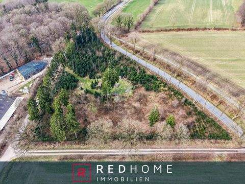 Grauel Bauernhöfe, Landwirtschaft, Grauel Forstwirtschaft