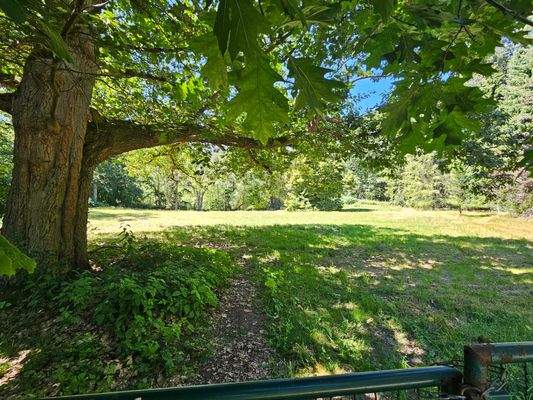 Ca. 8.600 Quadratmeter Weide- und Wiesenland