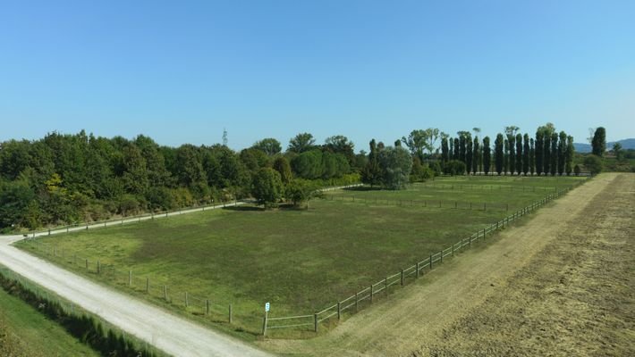 Koppeln - Blick aus westlicher Richtung