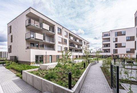 Mainz Wohnungen, Mainz Wohnung mieten