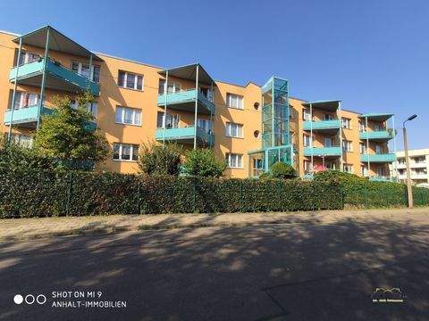 Bitterfeld Wohnungen, Bitterfeld Wohnung mieten