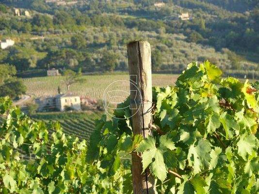 Eindrucksvolle Villa | Montalcino