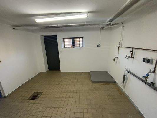 Waschküche / Ausgang Garten