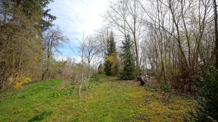 Garten - hinterer Teil