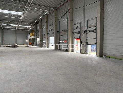 Mülheim an der Ruhr Halle, Mülheim an der Ruhr Hallenfläche