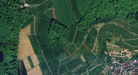 Kandern Bauernhöfe, Landwirtschaft, Kandern Forstwirtschaft