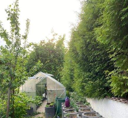oder ein Gewächshaus oberhalb der Westterrasse