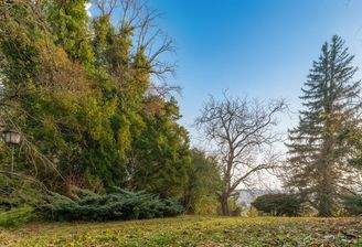 Herbststimmung oberer Grundstücksbereich