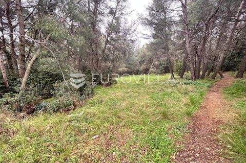 Monte Zaro - Stoja Bauernhöfe, Landwirtschaft, Monte Zaro - Stoja Forstwirtschaft