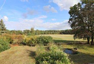 Blick in den Garten
