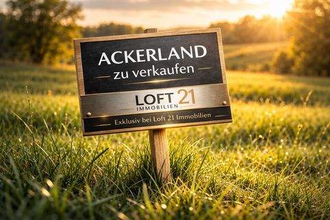 Böhmfeld Bauernhöfe, Landwirtschaft, Böhmfeld Forstwirtschaft