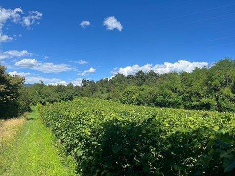Caprino Veronese Grundstücke, Caprino Veronese Grundstück kaufen