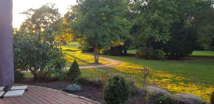 Impression aus dem Sommer