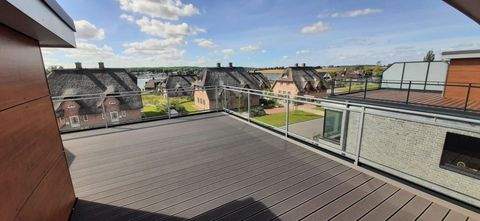 Kappeln (24376) Häuser, Kappeln (24376) Haus kaufen