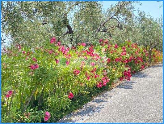 Photo Naturstein Villa (2)