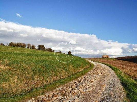 Wundervolles Anwesen | Livorno