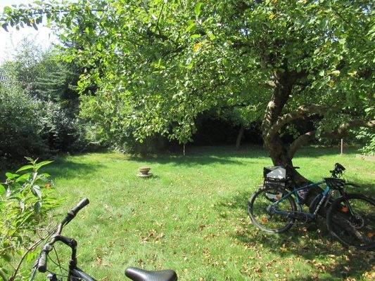 Grundstück mit Obstbäumen