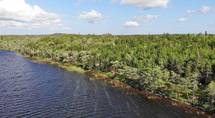 Cape Breton - Third Lake - Wunderschönes See-Uferg