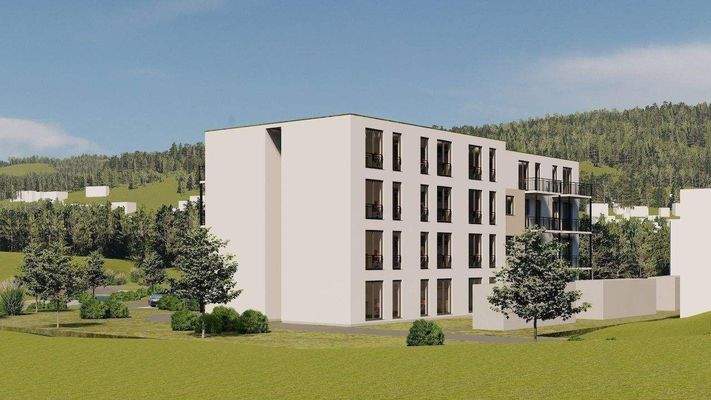 2025-02_Bad Salzschirf_5 - Photo Kopie.jpg