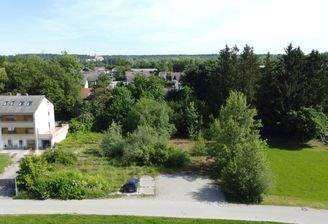 Grundstück Südseite mit Blick nach Norden