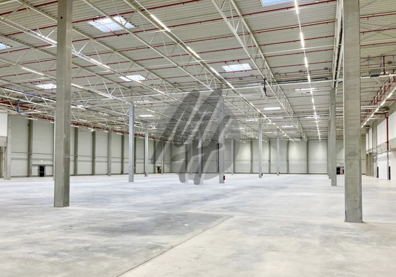 INFOS UNTER: 06171-586000