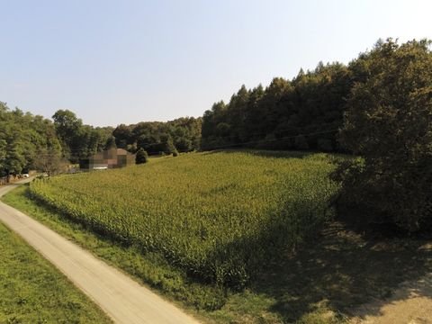 Heiligenkreuz im Lafnitztal Grundstücke, Heiligenkreuz im Lafnitztal Grundstück kaufen