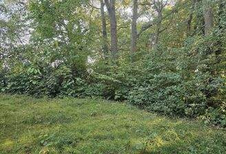 Blick auf das Grundstück 