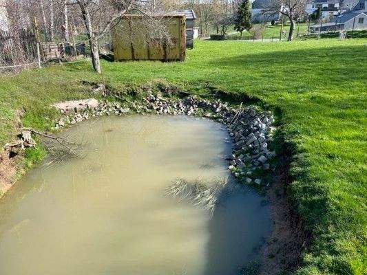 ehemaliger angelegter Teich