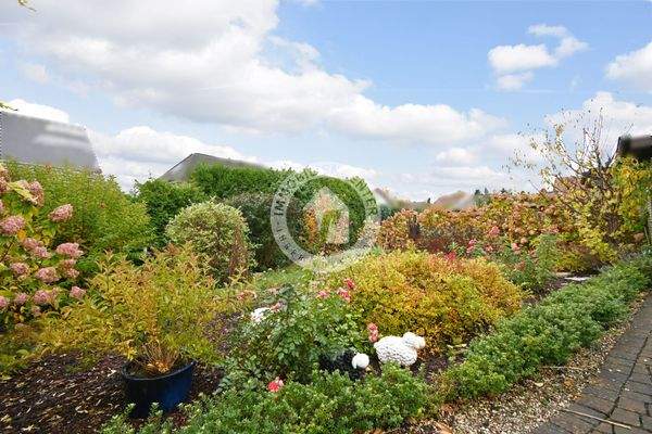 Der wunderschöne Garten