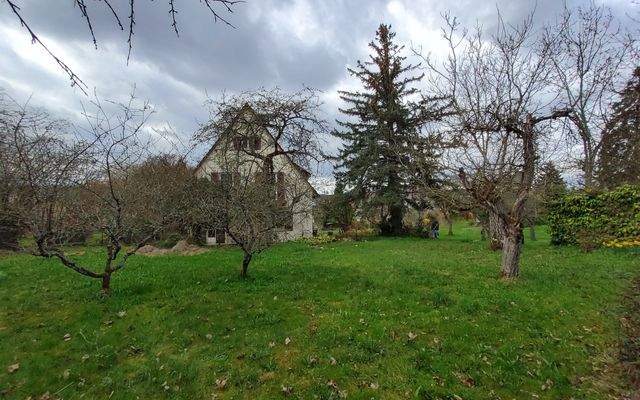 Gartenanteil vor dem Haus.jpg