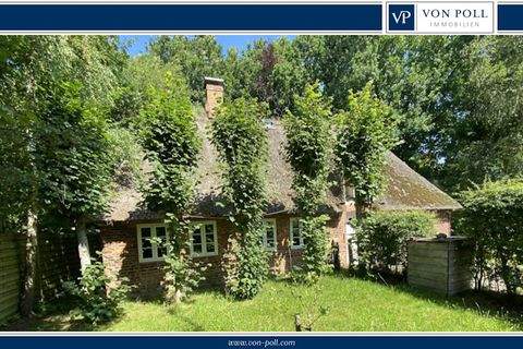 Bordelum Häuser, Bordelum Haus kaufen
