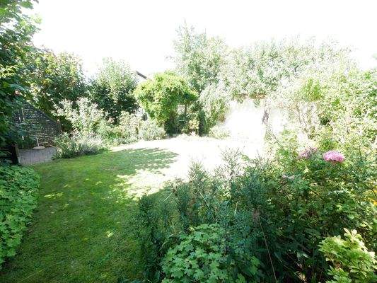 Blick in den Garten in Südwestausrichtung