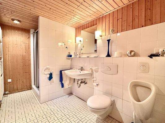 Ansprechendes WC mit Dusche im Kellergeschoss