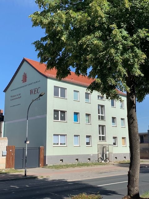 Calbe (Saale) Wohnungen, Calbe (Saale) Wohnung mieten
