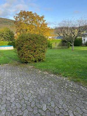 Grundstück Pünderich