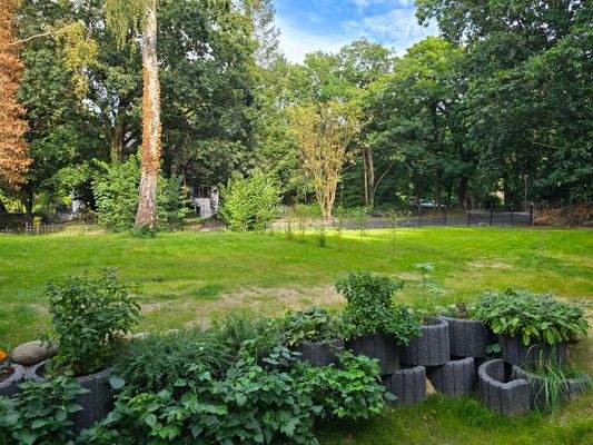 Maison Immobilien Bungalow Buchholz Ansicht UG Garten Einfahrt