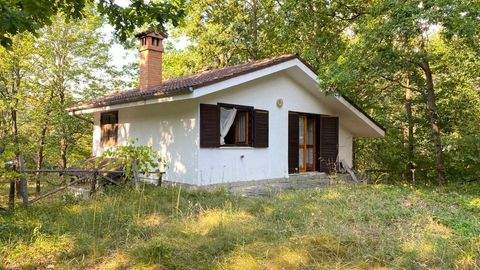 Sassello Häuser, Sassello Haus kaufen