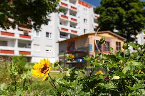 Halle (Saale) Wohnungen, Halle (Saale) Wohnung mieten