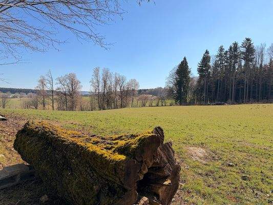 6 Ausblick Lieblingsplatz.JPG