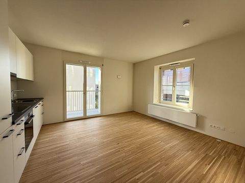 Dornbirn Wohnungen, Dornbirn Wohnung mieten