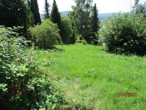 Burladingen Grundstücke, Burladingen Grundstück kaufen