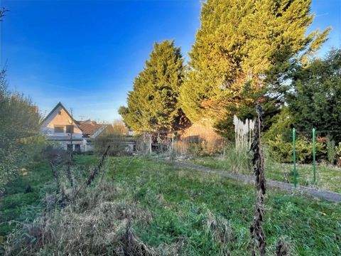 Erftstadt Grundstücke, Erftstadt Grundstück kaufen