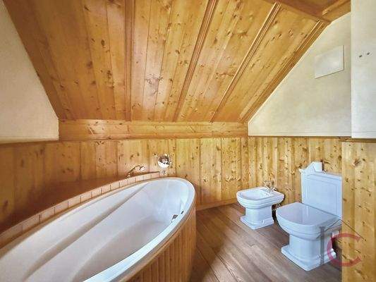 Villa Bad Kleinkirchheim (80)