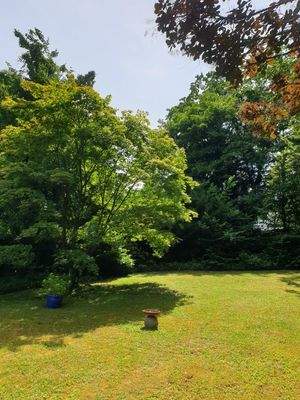 Teilansicht Garten (3)